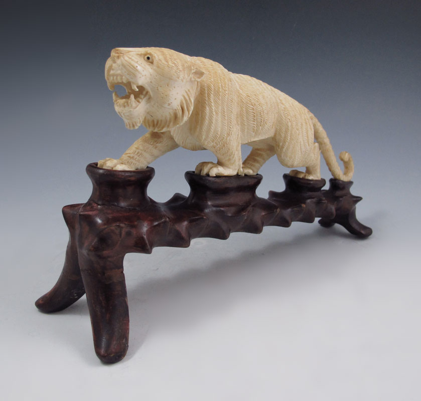CARVED IVORY SABER TOOTH TIGER ON
