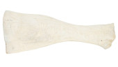CARVED NATURAL WHALE BONE W SA