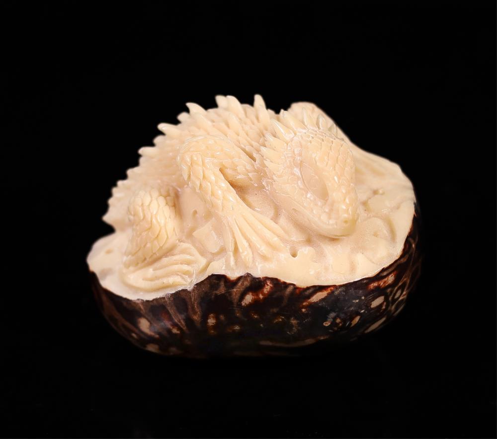 CARVED NUT NETSUKE LIZARD2 inch