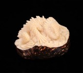 CARVED NUT NETSUKE LIZARD2 inc