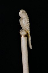 CARVED TROPICAL BIRD GRIP WALK