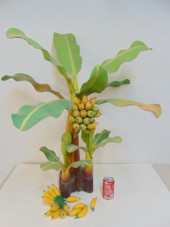 CARVED WOOD PAINT DECORATED SC
