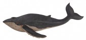 CARVING OF A HUMPBACK WHALE CO
