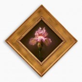 CARY ENNIS "IRIS" (OIL ON BOAR