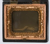 [Cased Images] Miniature Ambro