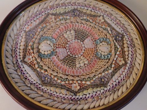 CASED OVAL SAILOR SHELL