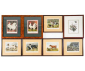CASSELL&#039;S POULTRY PRINTS<
