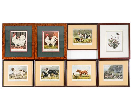 CASSELL&#039;S POULTRY PRINTSTwo