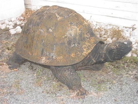 CAST IRON GALAPAGOS TORTOISE