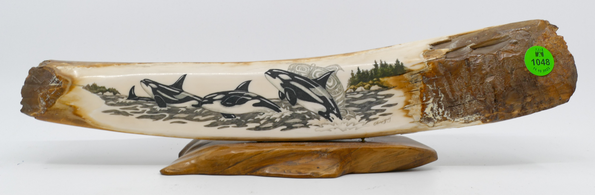 Catherine Young Scrimshawed