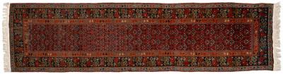 Caucasian runner, repeating tree