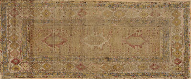 CAUCASIAN TAN-GROUND LONG RUG