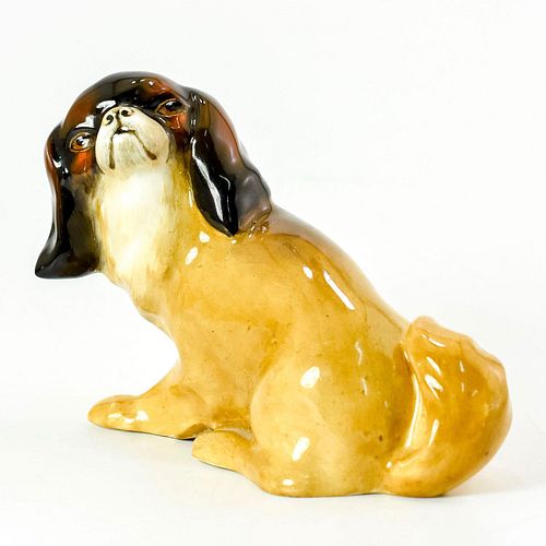 CAVALIER KING CHARLES SPANIEL -