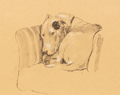Cecil Aldin (1870-1930)/Dog
