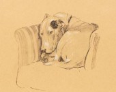 Cecil Aldin (1870-1930)/Dog Cu