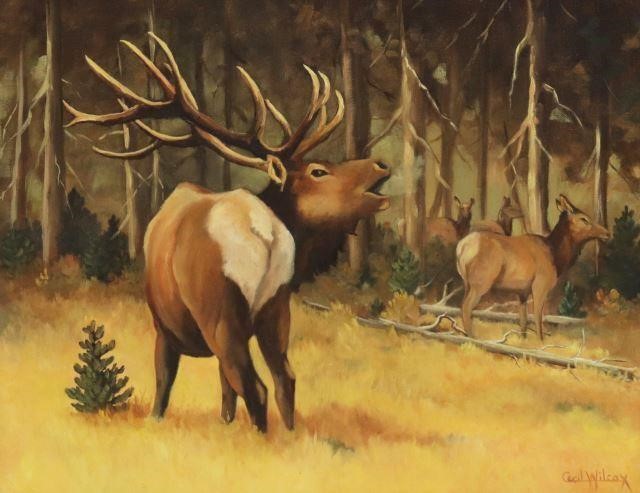 CECIL WILCOX (TX, 1920-2008) BULL