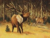 CECIL WILCOX (TX, 1920-2008) B