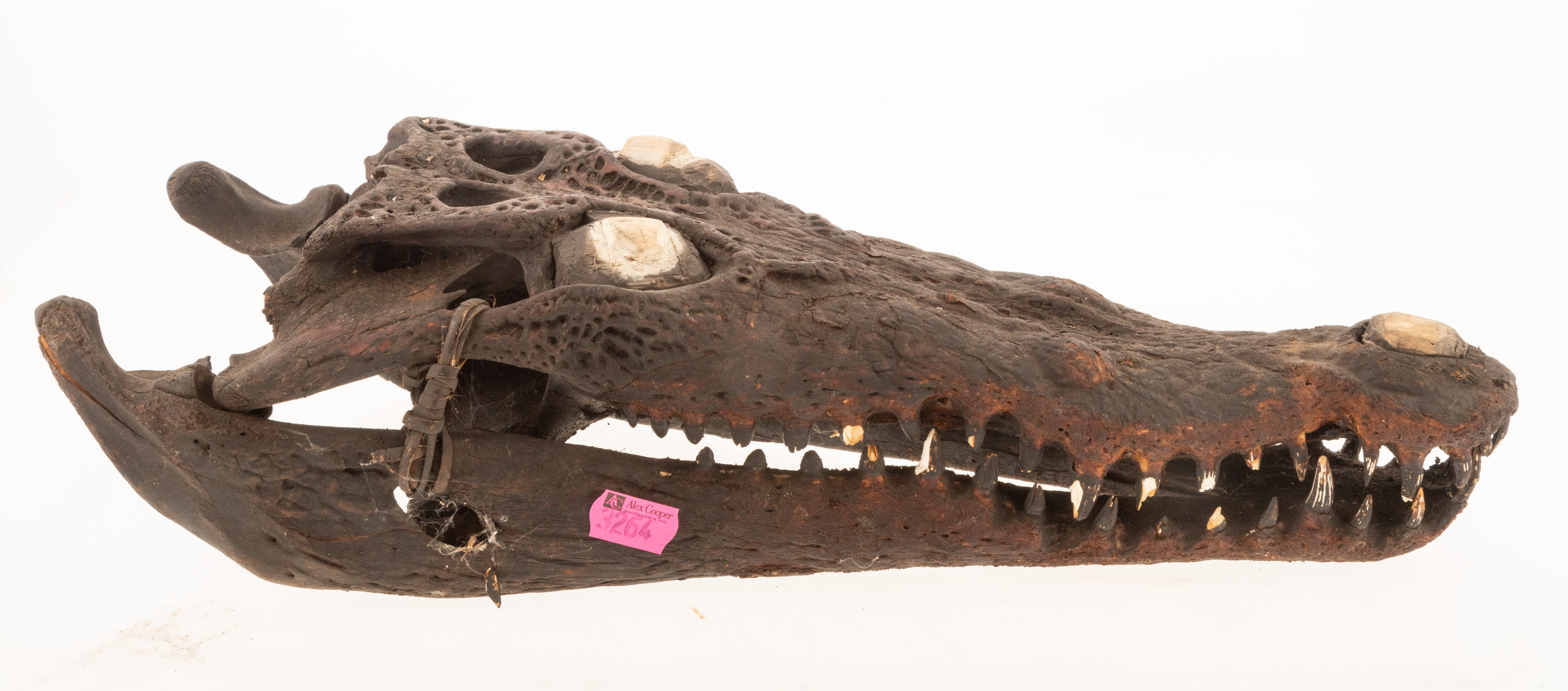 CEREMONIAL CROCODILE SKULL 17 in.