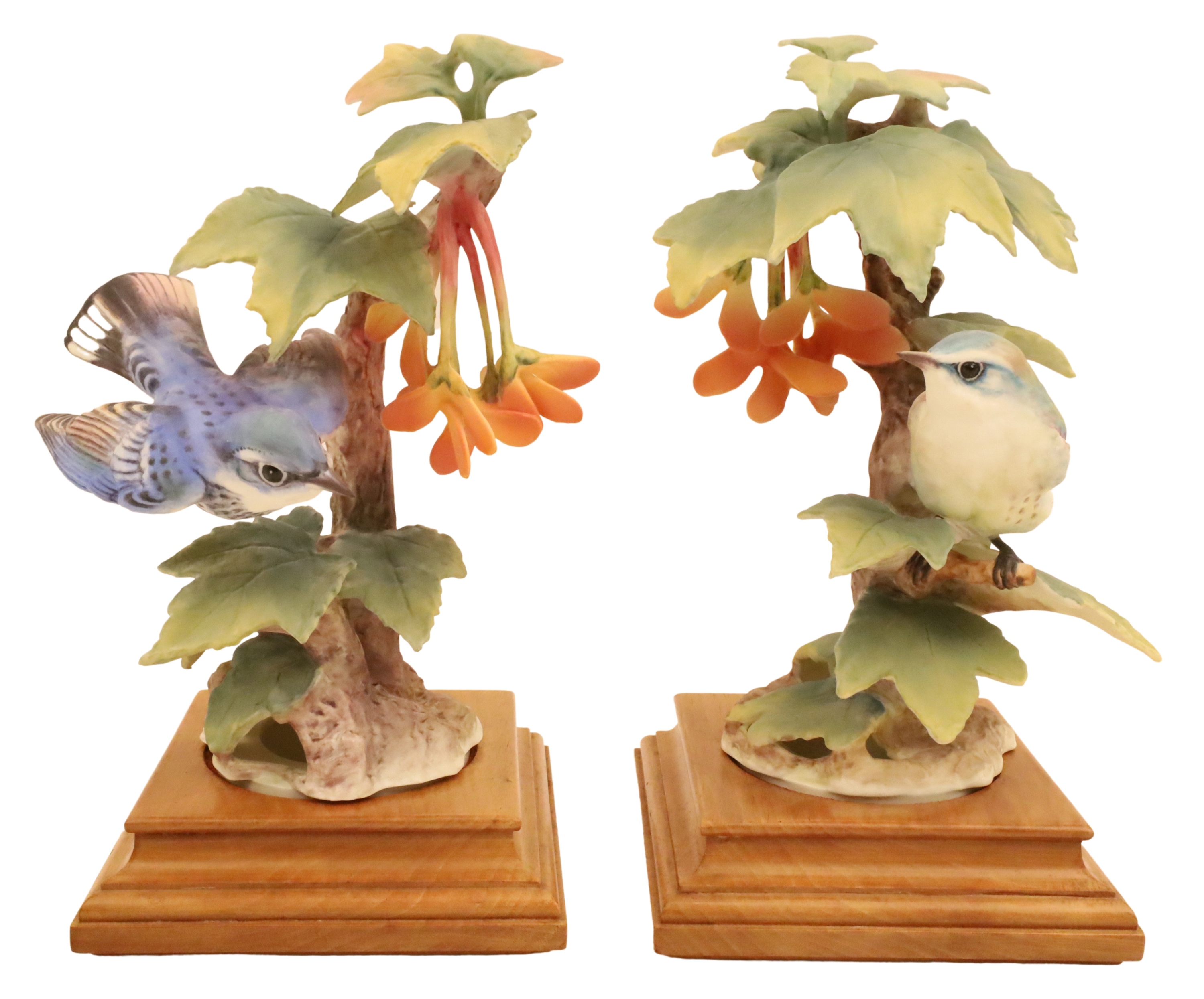 CERULEAN WARBLERS BY DOROTHY