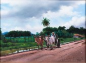 CESAR, EL CARRETERO DE "EL CUB