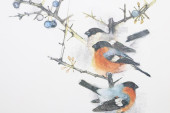 CHAD STOSE PRINT BULLFINCHES O