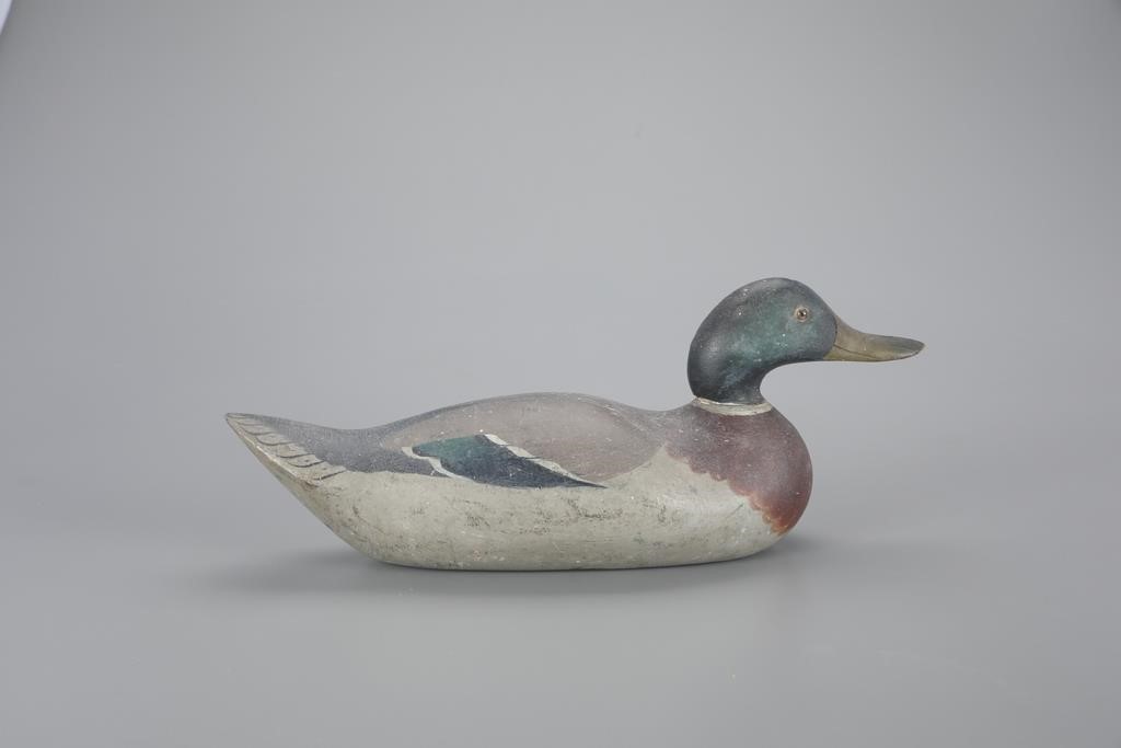 CHALLENGE-GRADE MALLARDMason