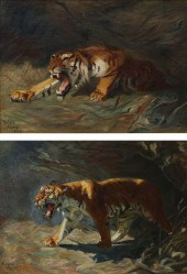 CHARLES ALPHONSE GOLDIE, TIGER