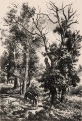 CHARLES BANKS WILSON (1918-201