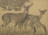 CHARLES BECKENDORF (TX, D.1996