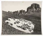 Charles Belden Photograph of a
