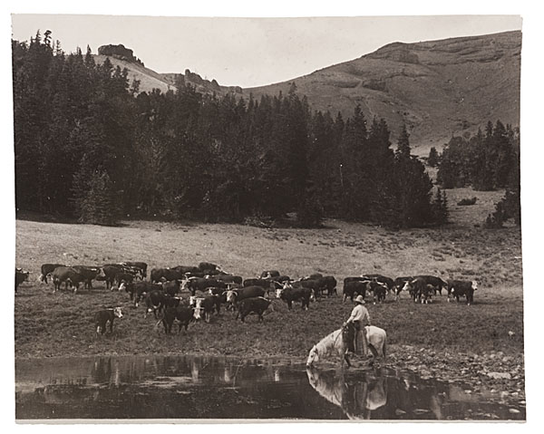 Charles Belden Photograph of a