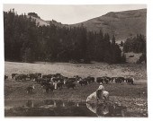 Charles Belden Photograph of a