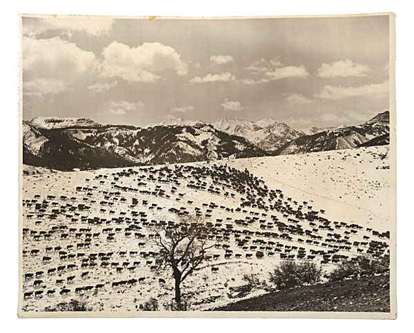 Charles Belden Photograph of