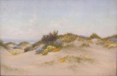 Charles Dormon Robinson (1847-