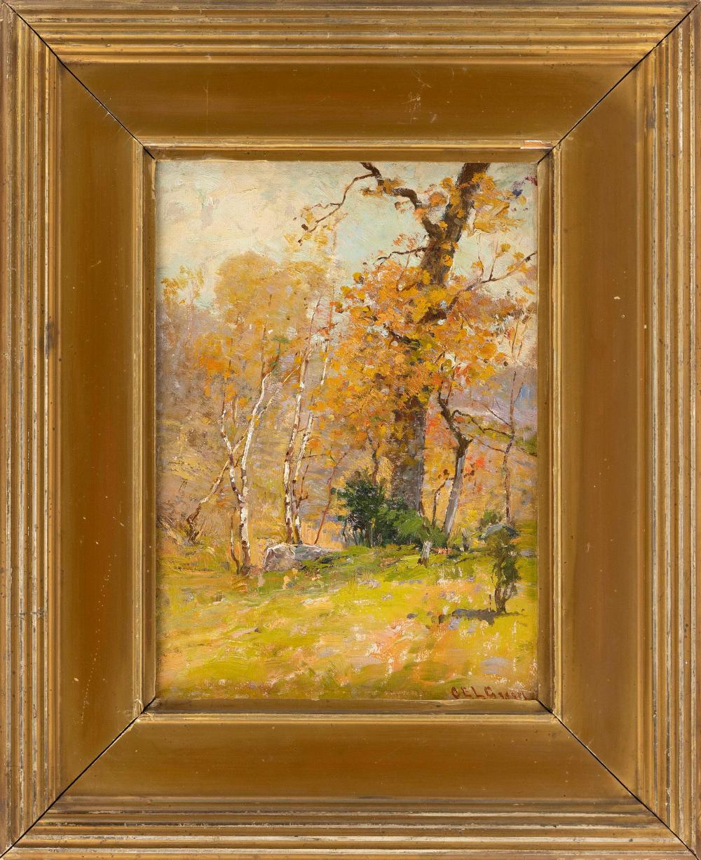 CHARLES EDWIN LEWIS GREEN