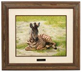 CHARLES FRACE 'ZEBRA FOAL' ORI