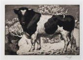 Charles Frederick Tunnicliffe