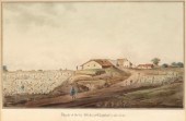 Charles George Nicholls (Briti