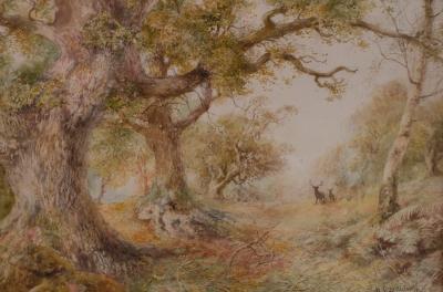 Charles H C Baldwyn