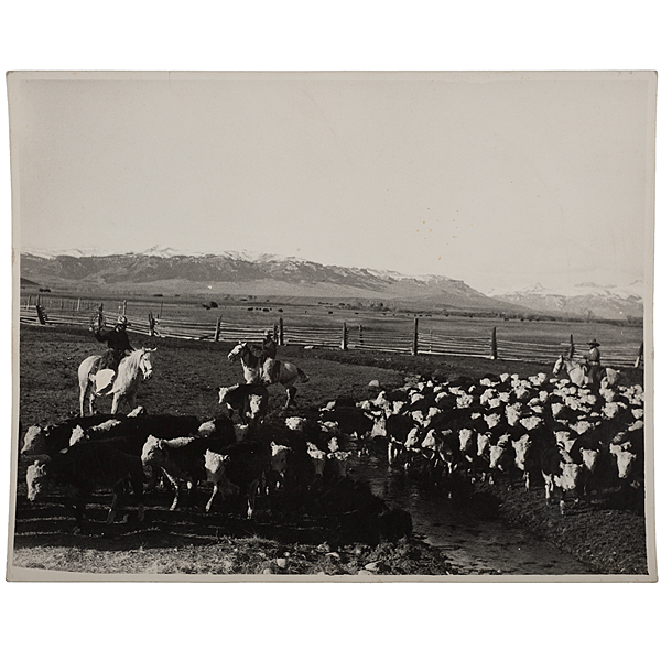 Charles J. Belden Photograph of
