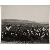 Charles J. Belden Photograph o