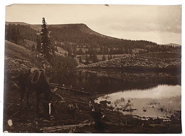 Charles J. Belden Photograph of a