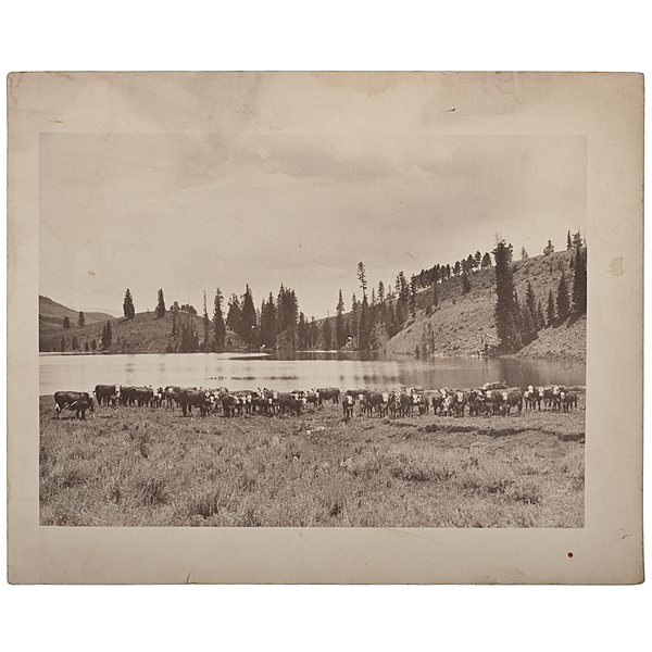 Charles J. Belden Photograph of