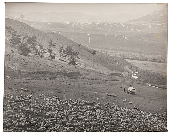 Charles J. Belden Photograph of a