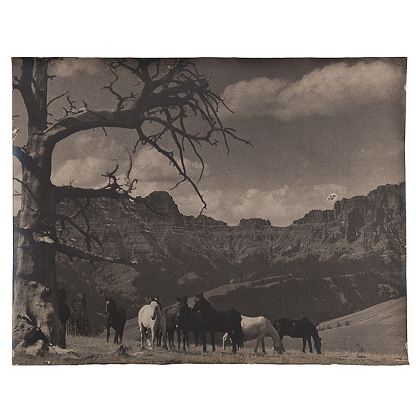 Charles J. Belden Photograph of