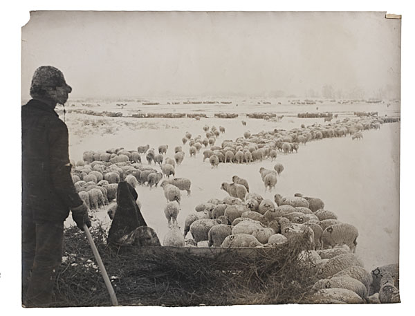 Charles J. Belden Photograph of a