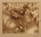 CHARLES J. COOK (AMERICAN/CHIC