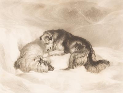 Charles James Lewis (1830-1892),