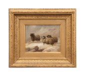 CHARLES JONES, HIGHLAND SHEEP
