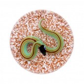 CHARLES KAZIUN JR., GLASS SNAK